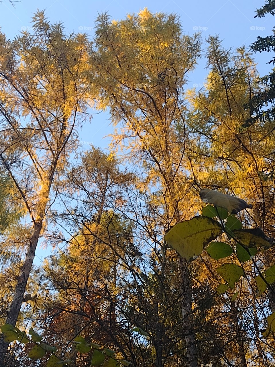 what makes you smile