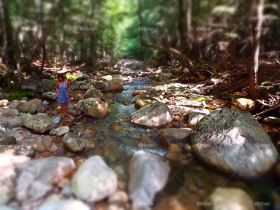 Tiny woman walking on giant rocks in shallow creek in forest. - miniature effect