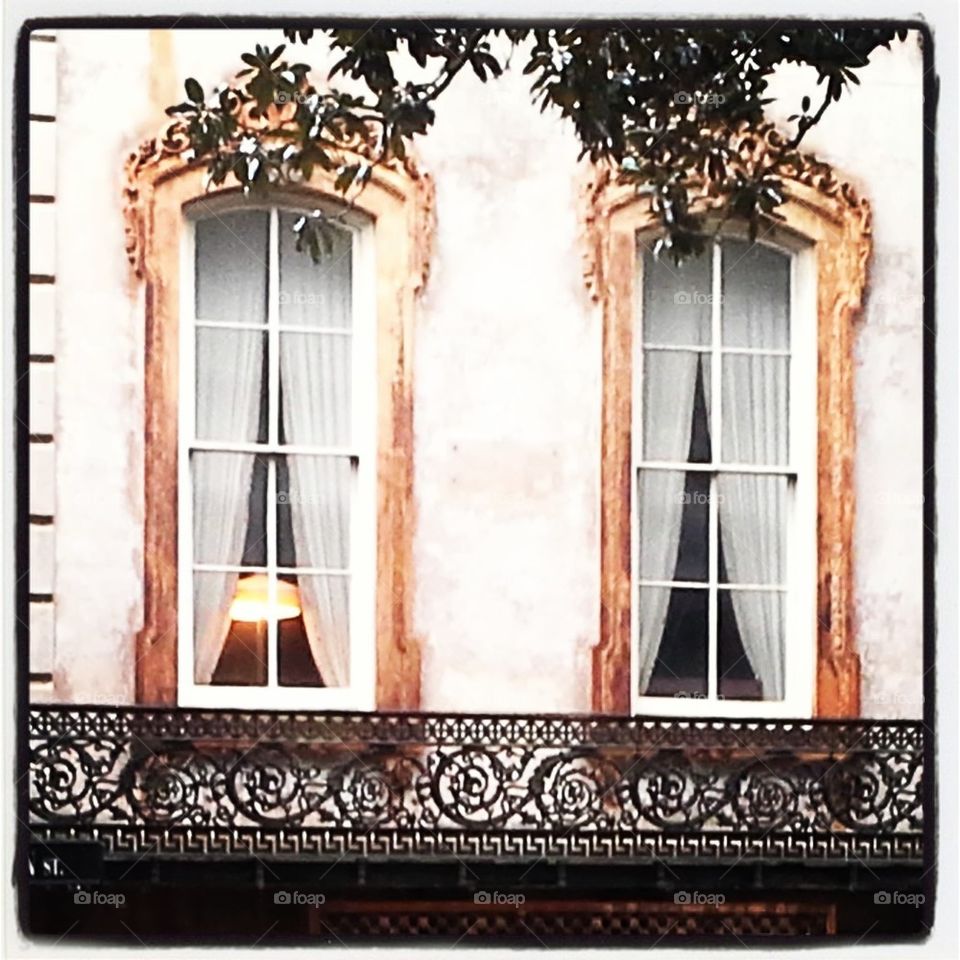 Windows of Savannah