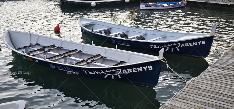 barquitas de remo