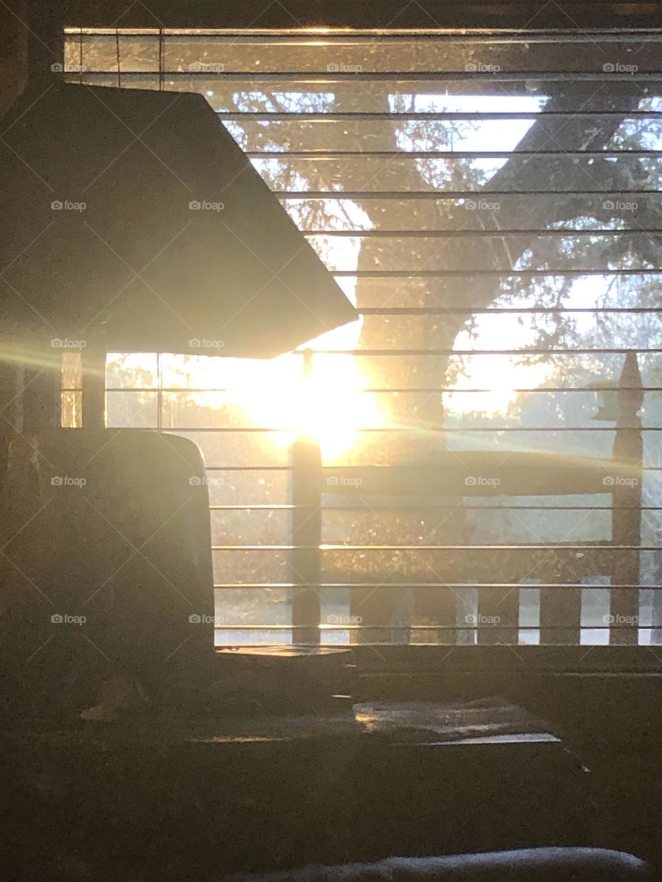 Blinded by the sun coming through the window but got a great pic of the scene - Texas sun. 