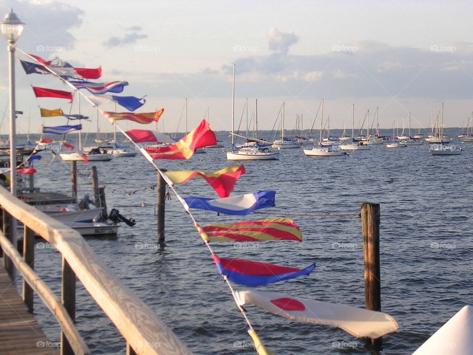 Ocean flags