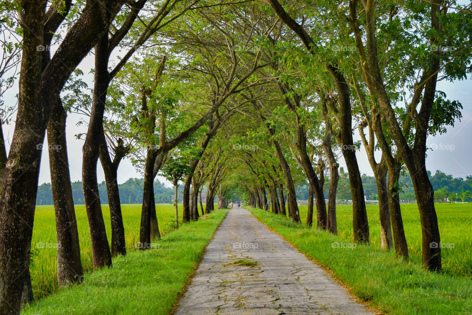 Sragen, Central Java, Indonesia
