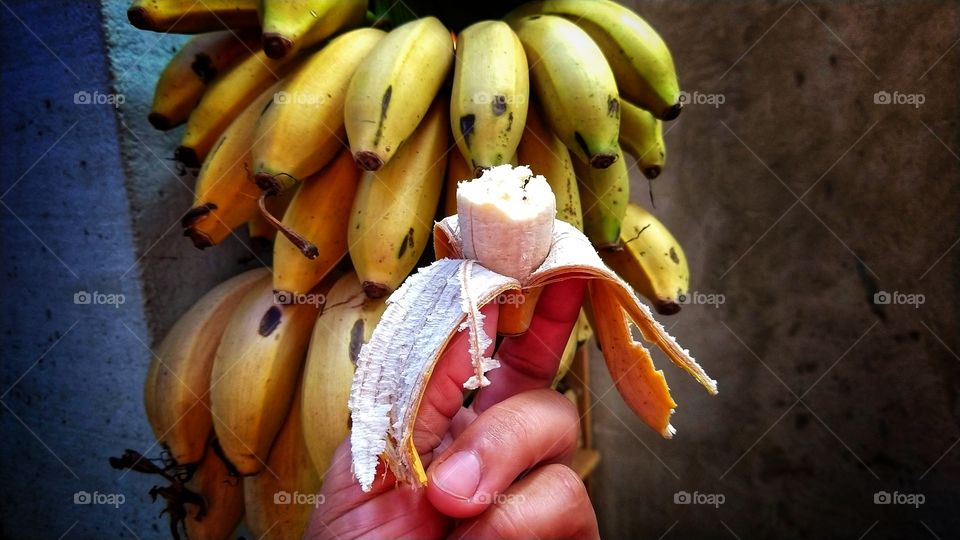Cacho de bananas.