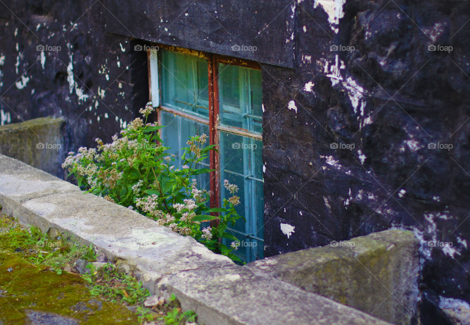 Old window in the abandoned building 
