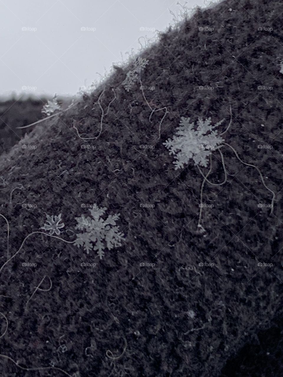 Clear pictures of snowflakes on fuzzy black gloves