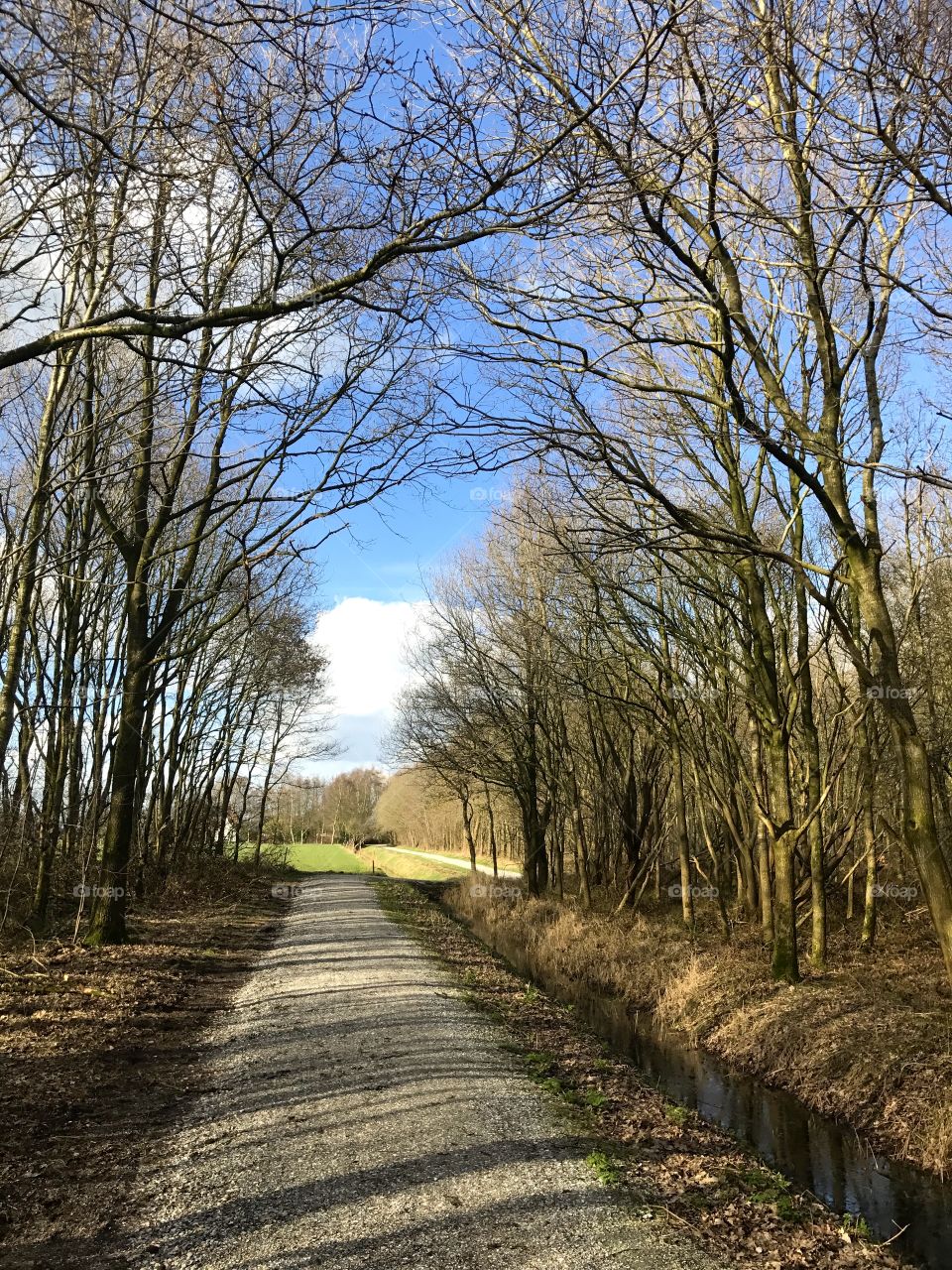 Walking in the countryside.