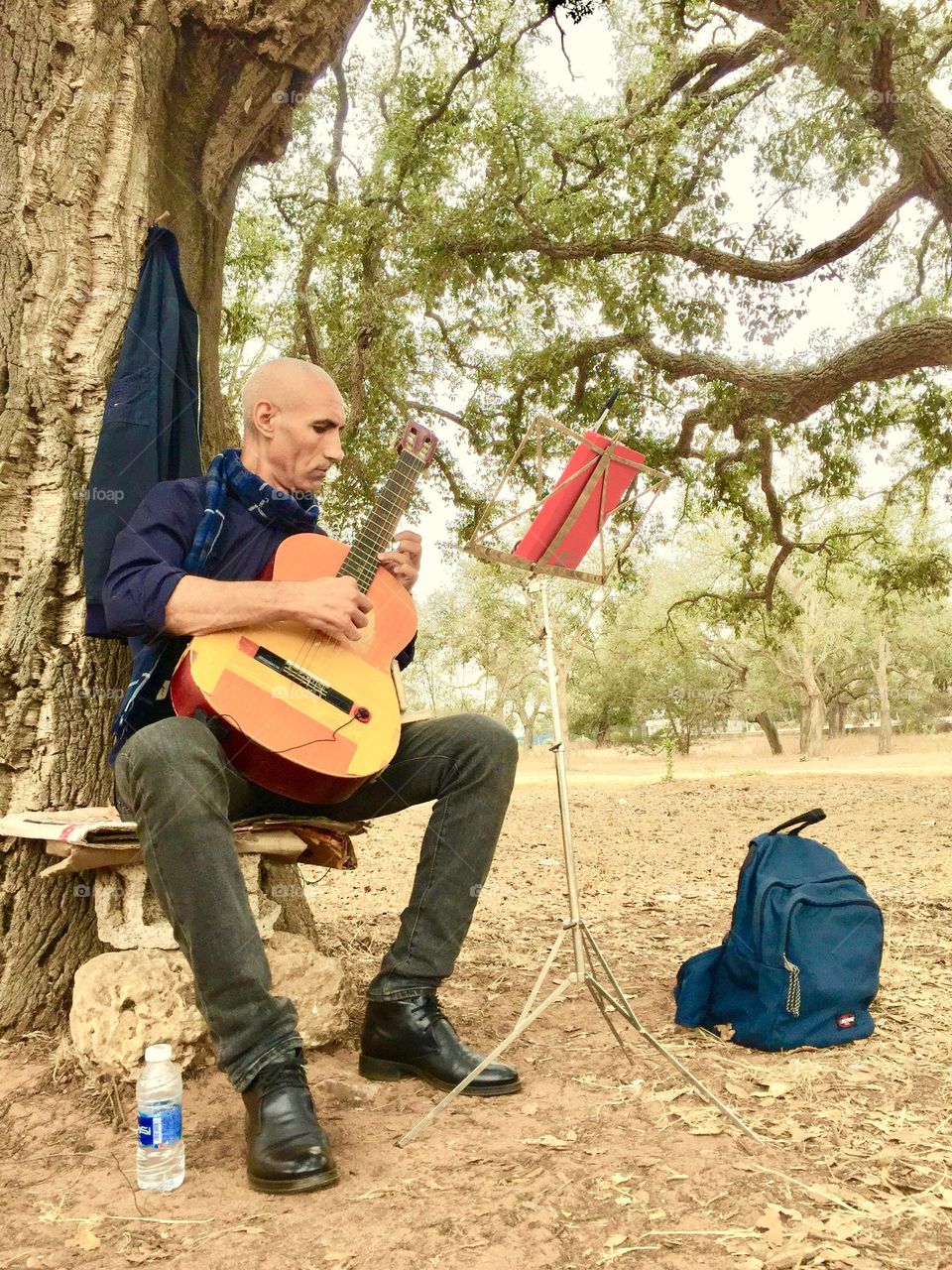 My photo of this month 