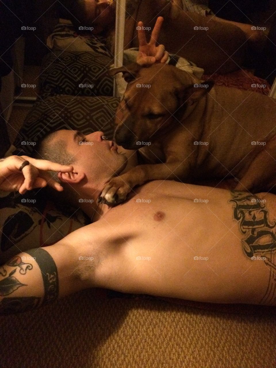 People, Dog, One, Tattoo, Adult