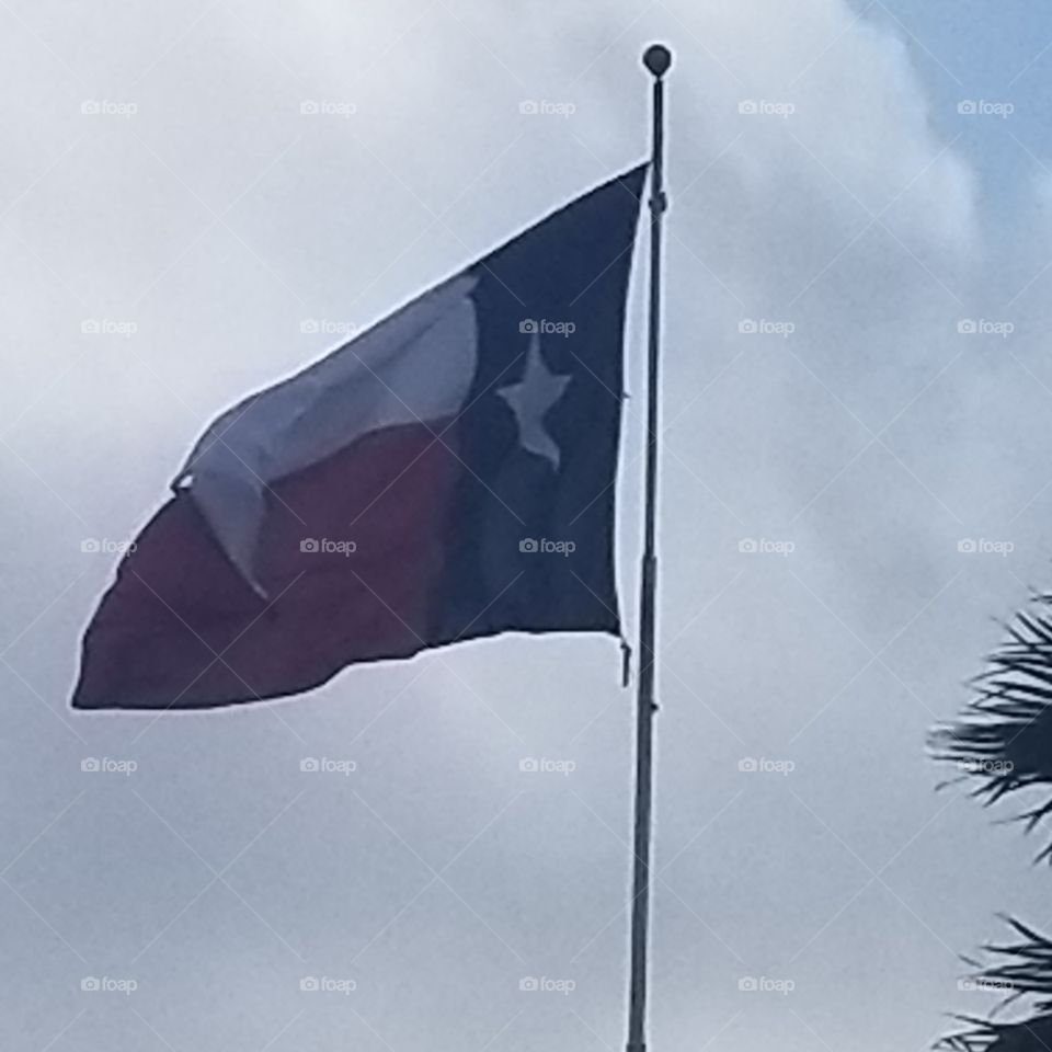 Nice picture of the Texas flag