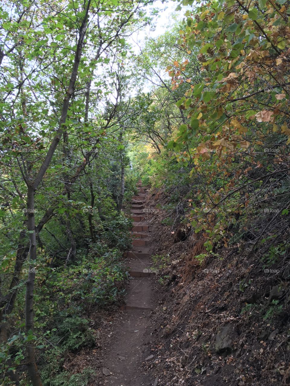 Steps on Hidden Oak trail in Spanish Fork Utah