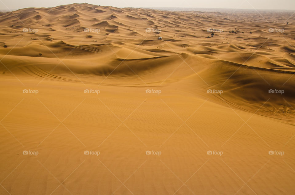 Vast Desert with dunes in Emirates, desert safari 