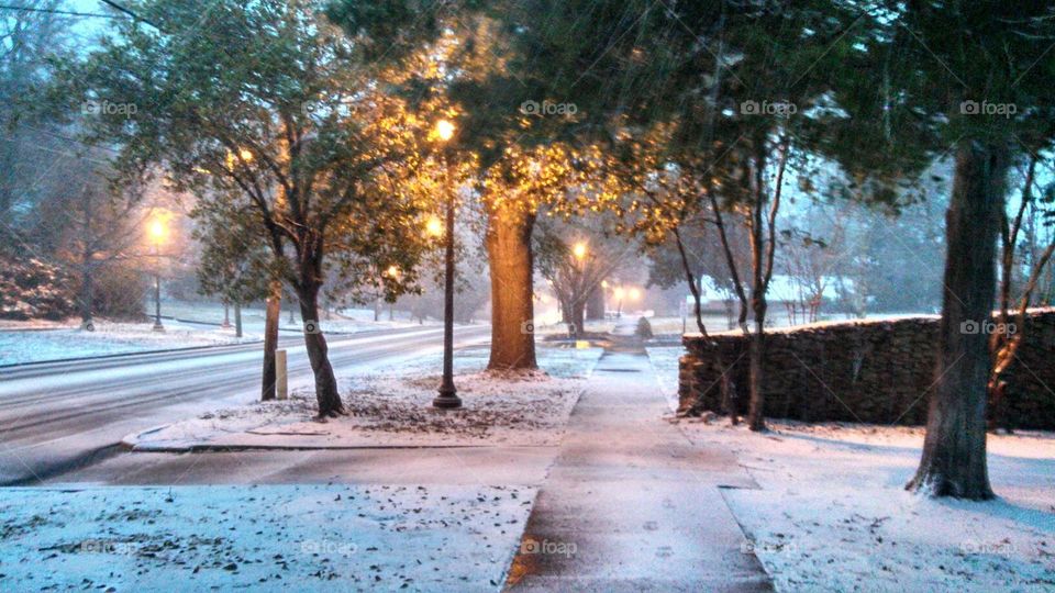 Walking in a Winter Wonderland. Snow covers a walkway, while street lights illuminate the trees and snow at dusk