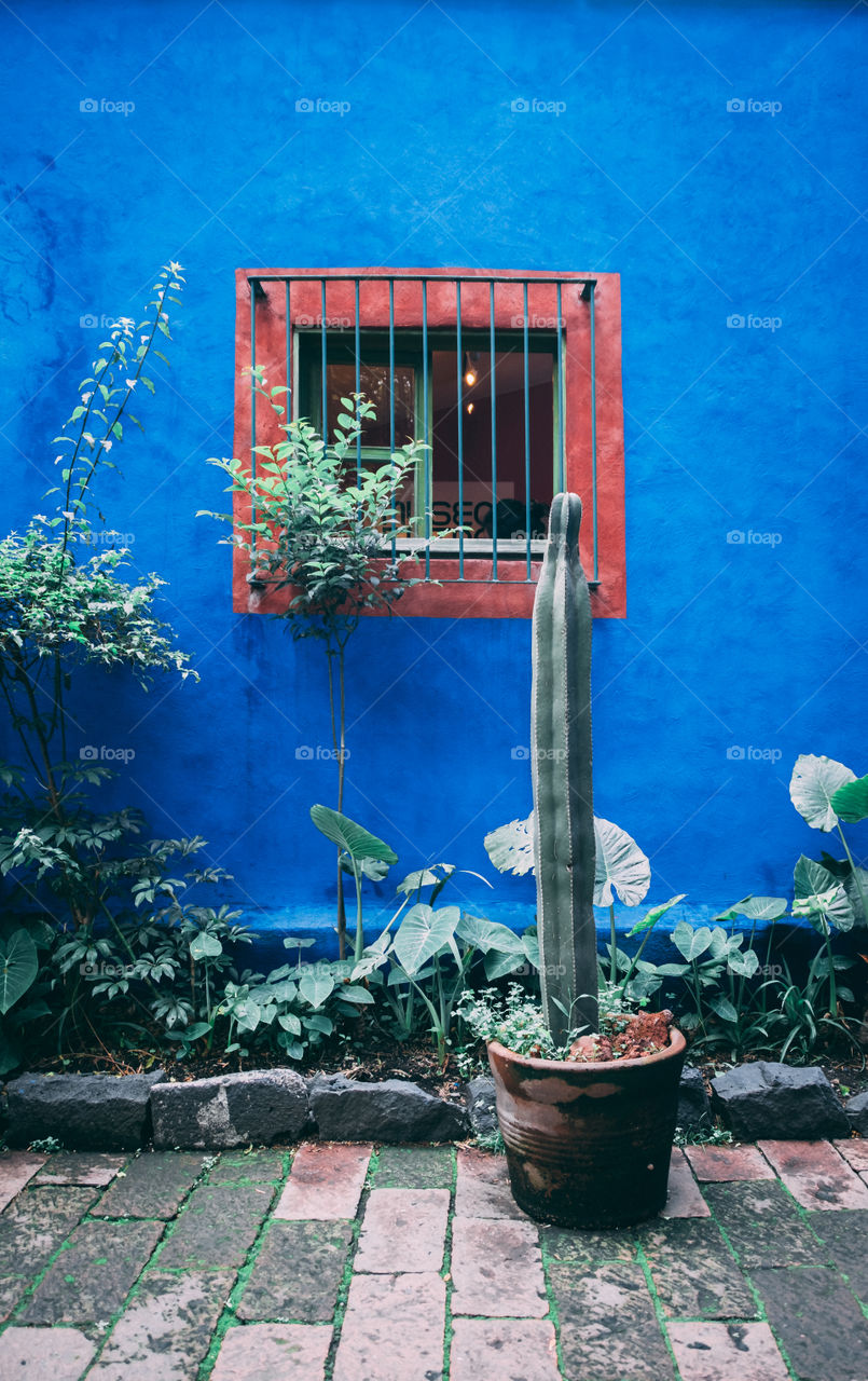 Blue House