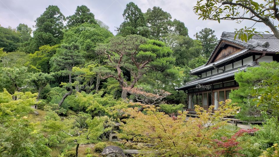 Ancient Home Overlooking Japanese Garden