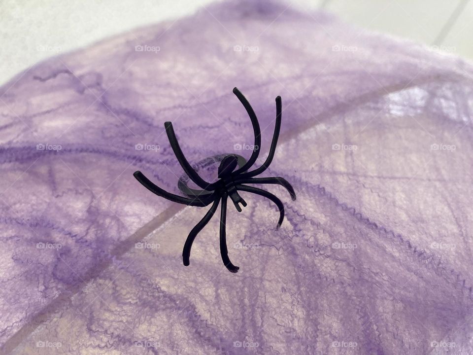 Black spider on a purple Halloween web