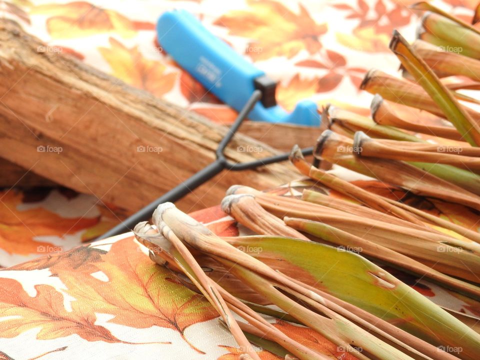 Autumn fall decor and cloth with logs and fire grate closeup with orange drawings of leaves, logs and blue long lighter and dry palm leaves branches on a step.