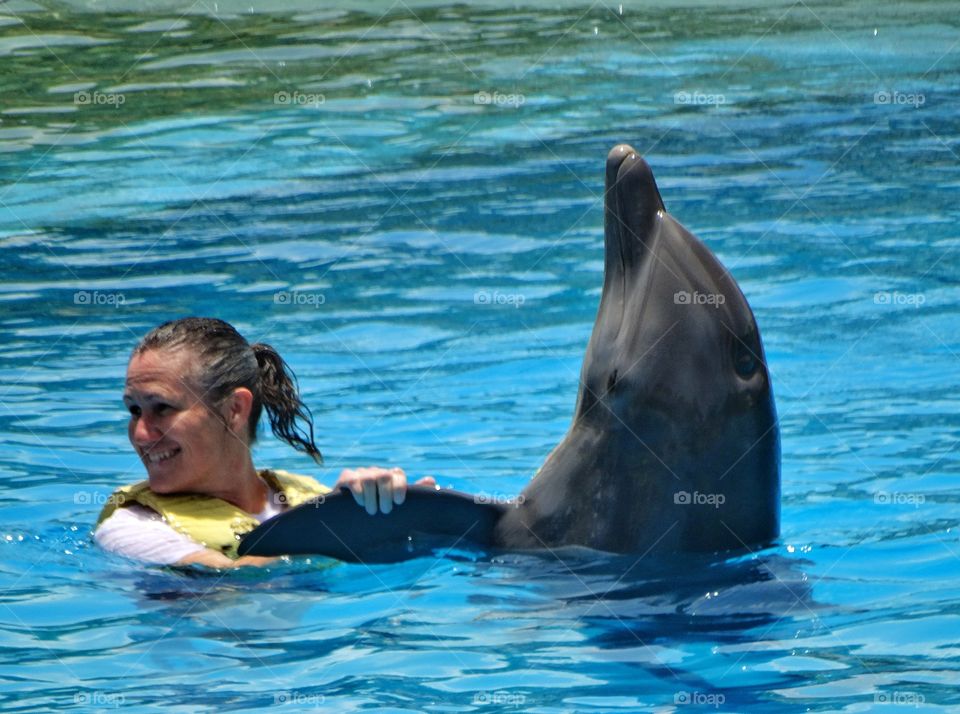 Swimming With Dolphins. Woman Swimming With Dolphins In Turquoise Water
