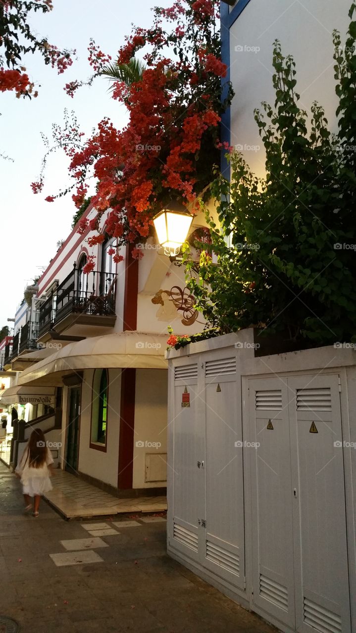 Puerto de Morgan,  Morgan , puerto,  de , gran canaria,  canaries,  Spain,  West coast, coastal, beautiful