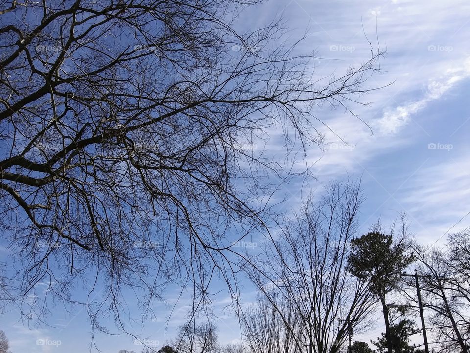 thin clouds in late winter