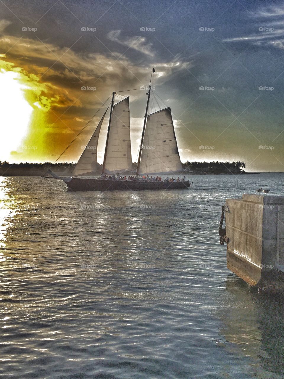 Evening Sail. Sunset Cruise