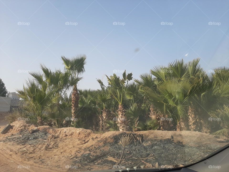 Please make me happy, I am poor, I need your help with support