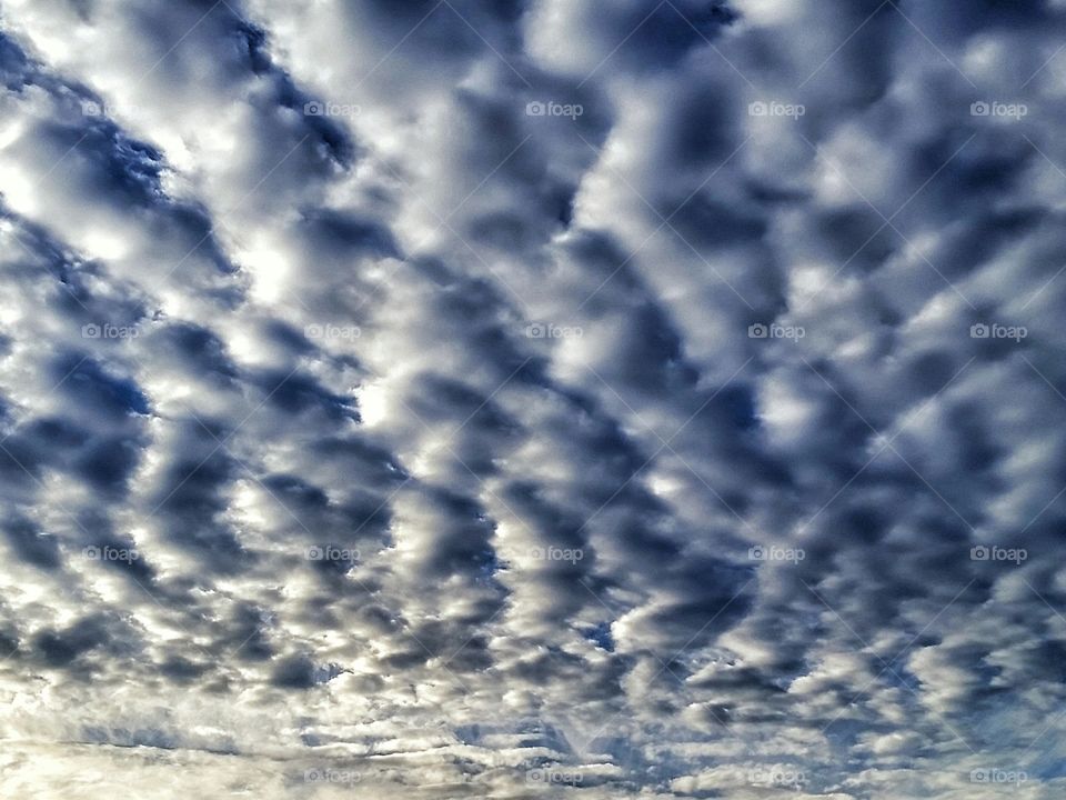 Sky. Pretty clouds at sunrise.
