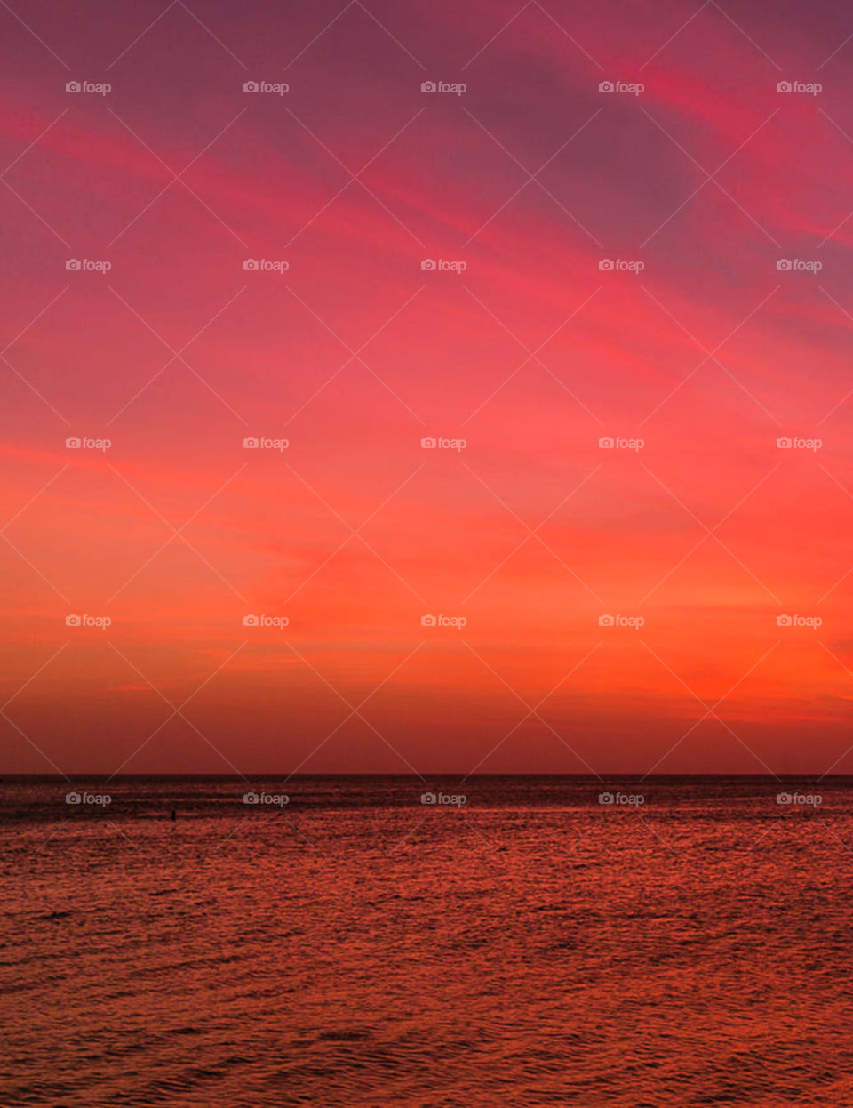 Travel around the world