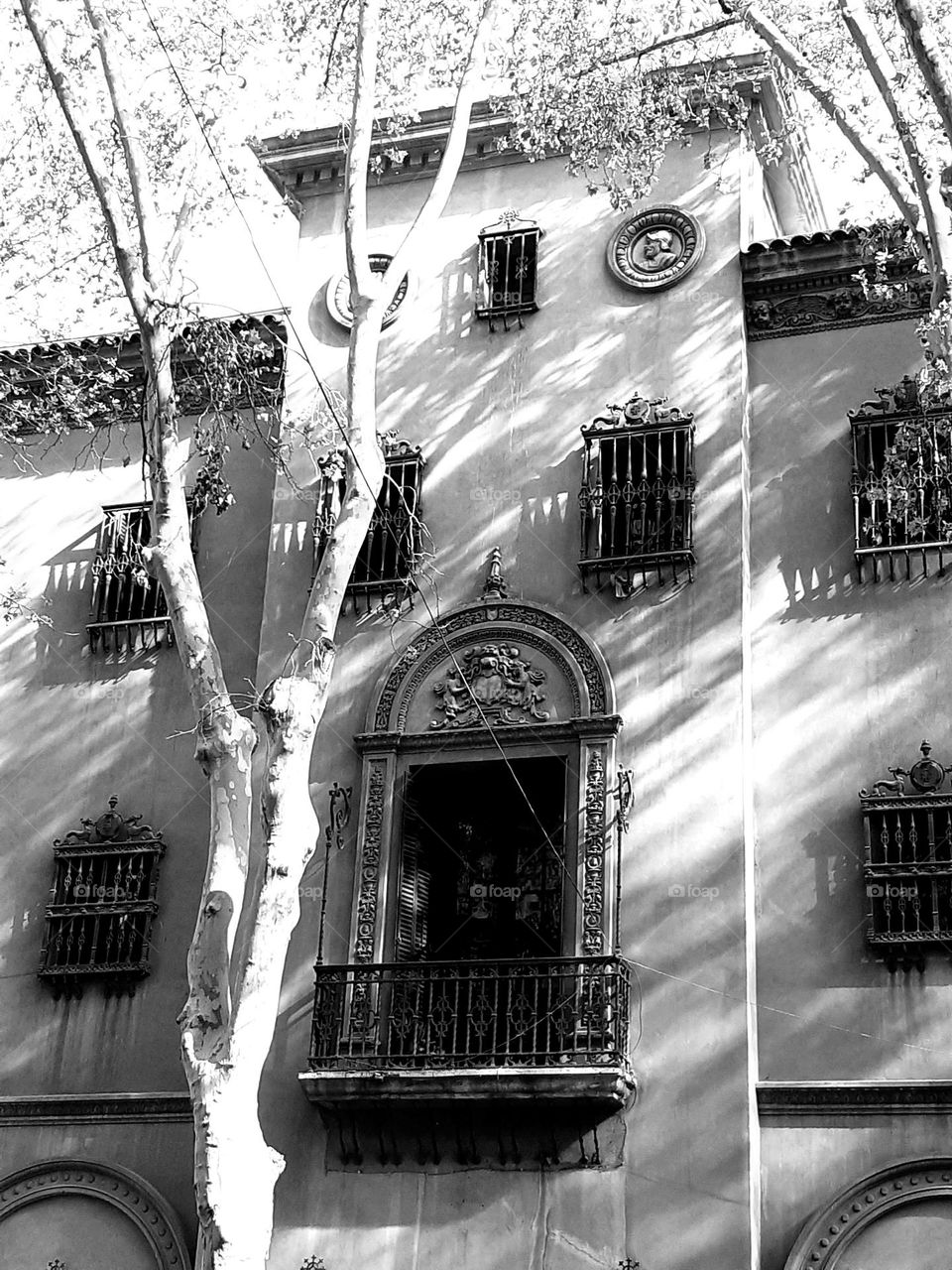 arquitectura en blanco y negro