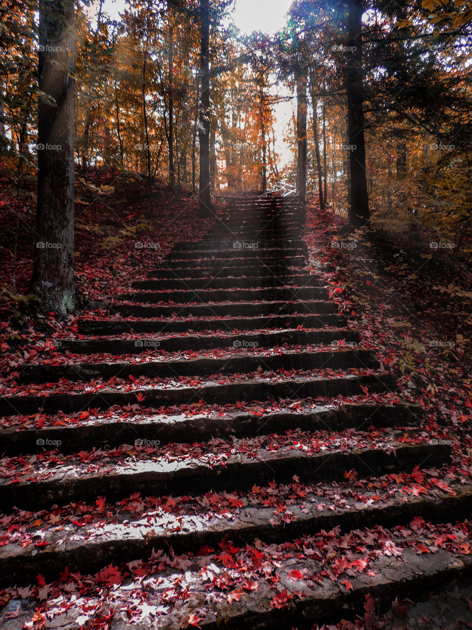 Autumn Stair