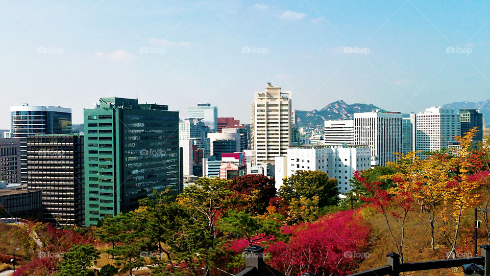 Autumn in Seoul city, South Korea