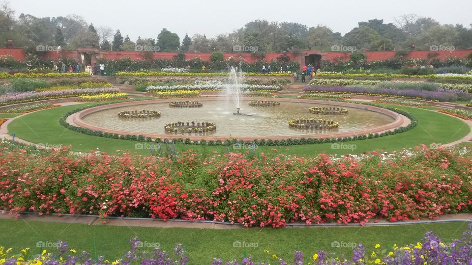 mughal garden. mughal garden in delhi