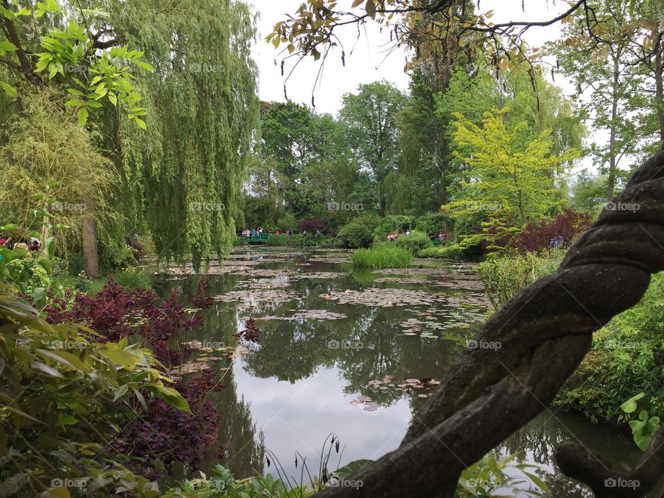 Claude Monets Gardens 