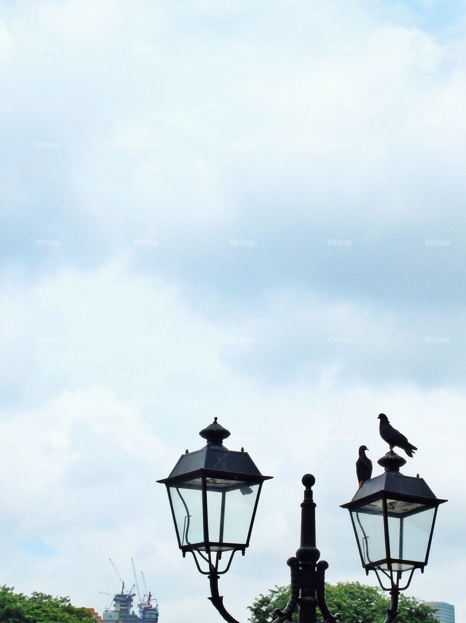 Pigeons on a lamppost