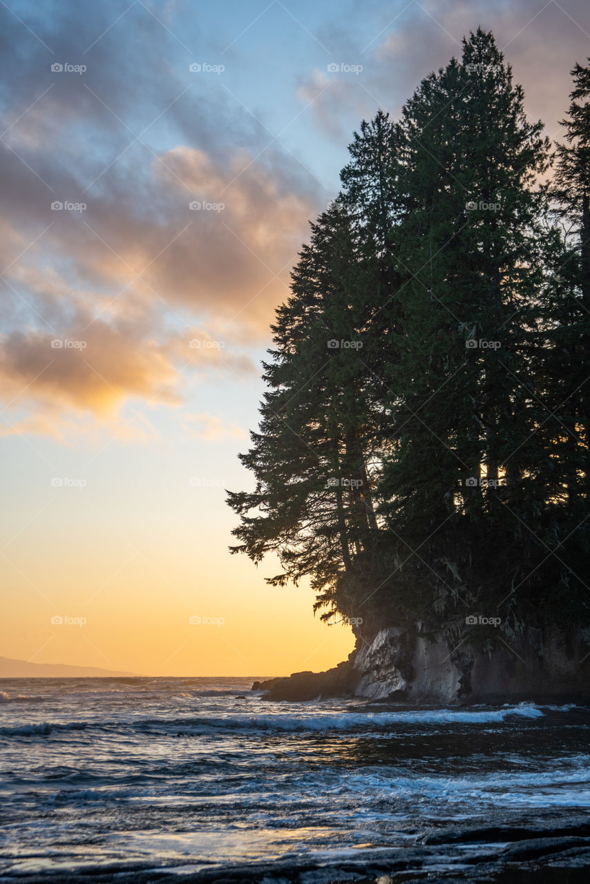 Botanical beach, Vancouver Island, British Columbia, at sunset