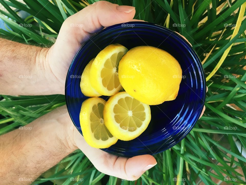 Man holding bowl of fresh lemons