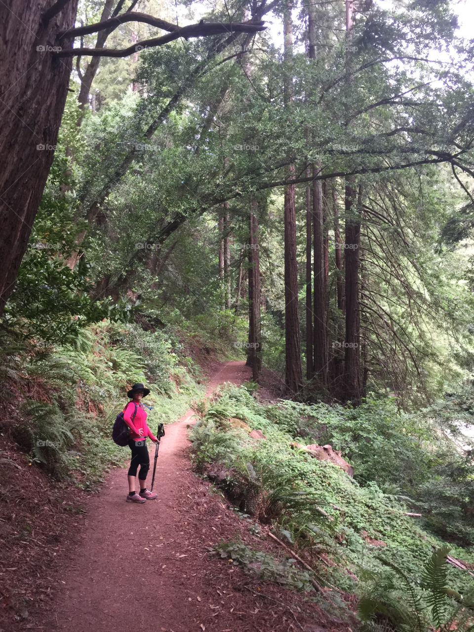 Redwood Regional Park hike in Oakland, California.