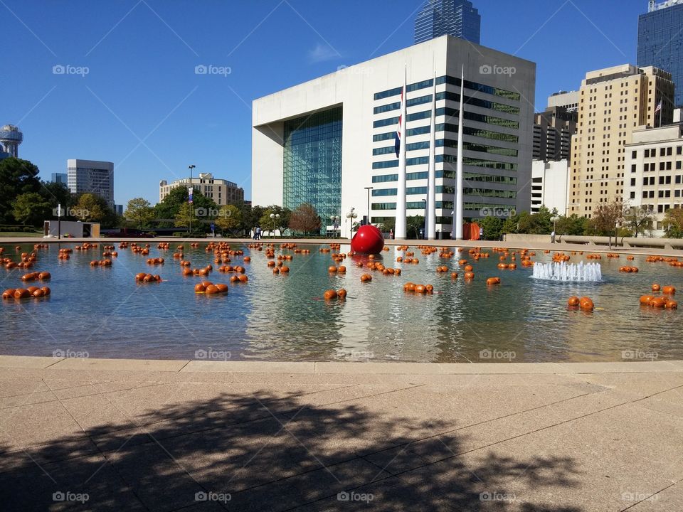 City Art Pond
