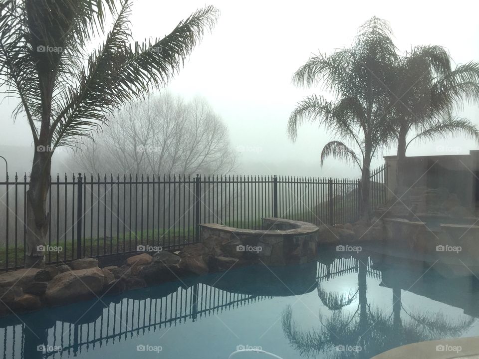 Foggy weather 