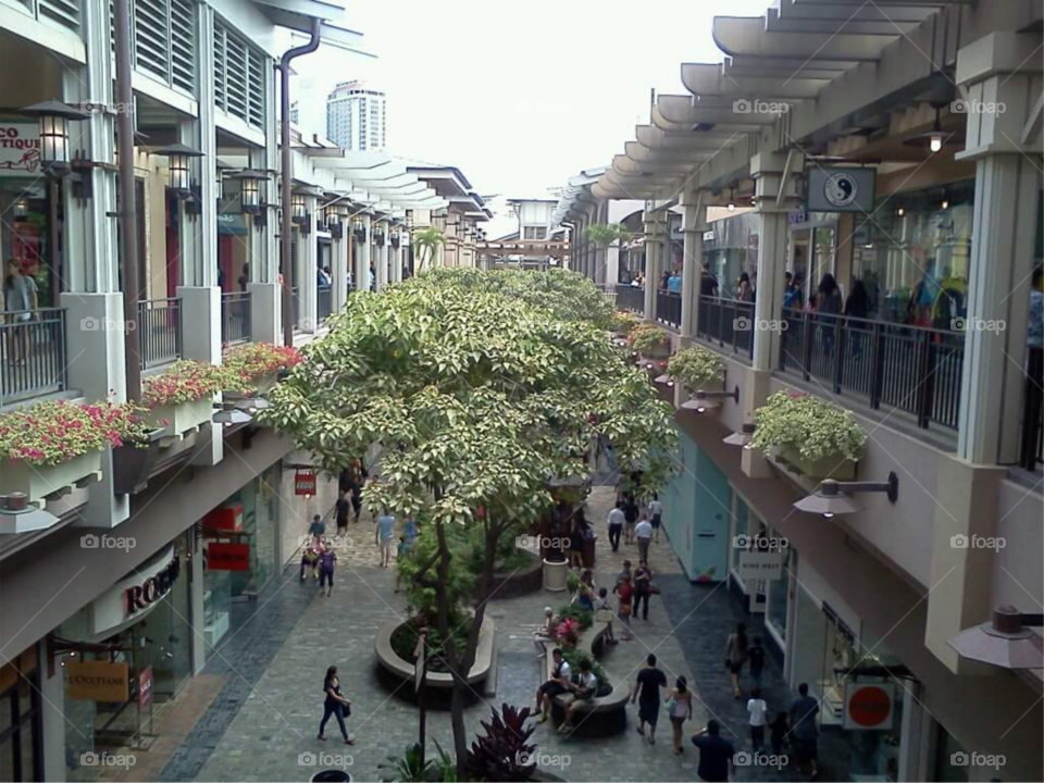 tropical mall