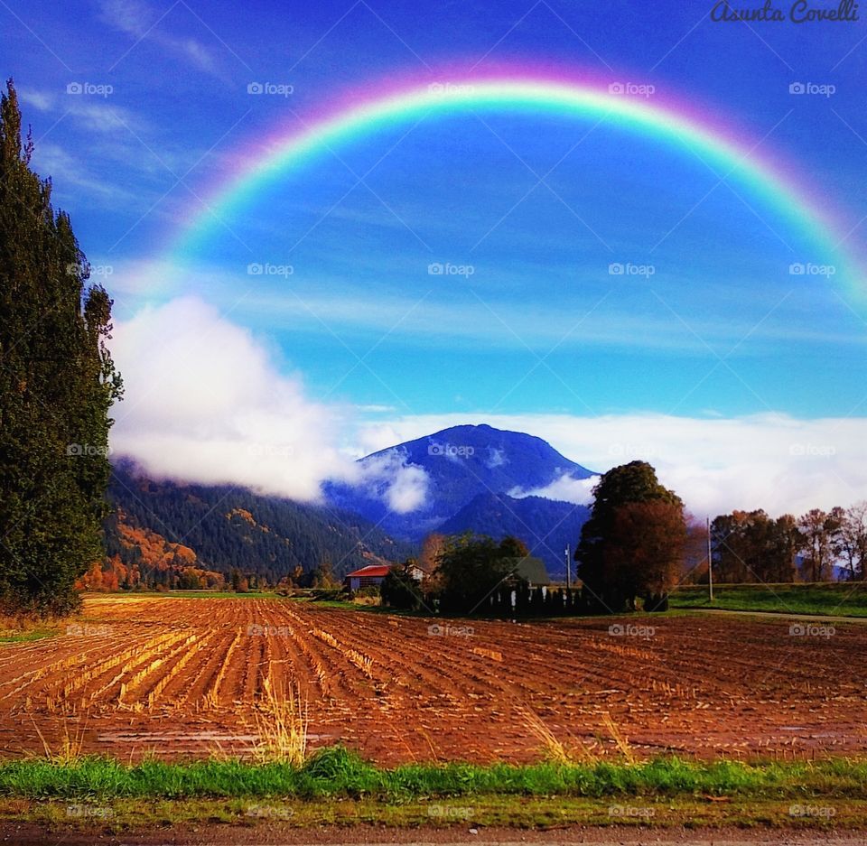 Over the rainbow in nature