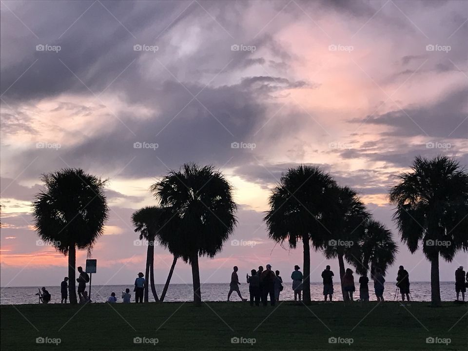 Sunrise watchers and palm trees on the bay