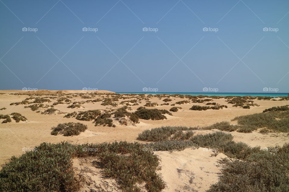 Desert with view to red sea near Marsa Alam in Egypt