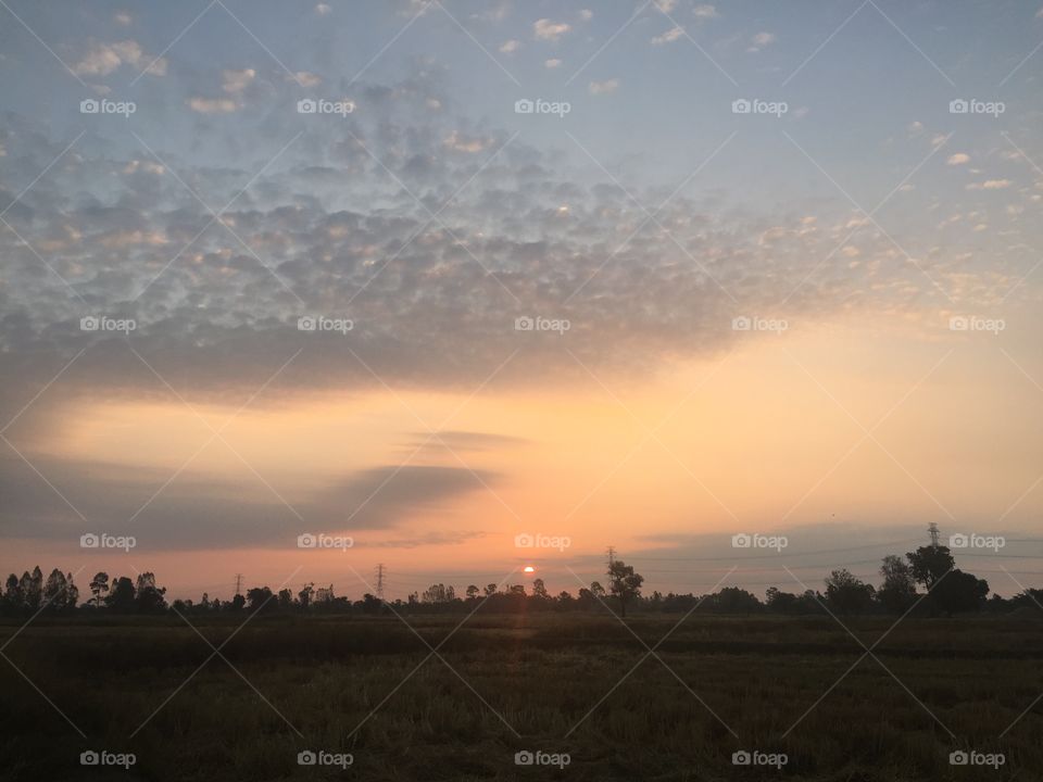 Beautiful Sunlight, Sunset and tree landscape for sky  isolated background. Copy space 