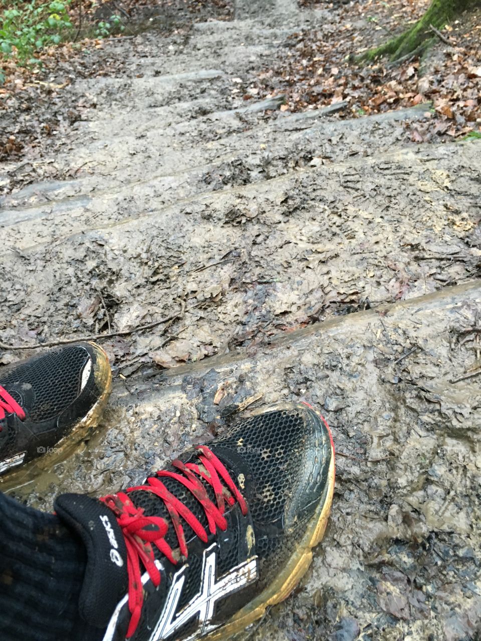 Running in the forest