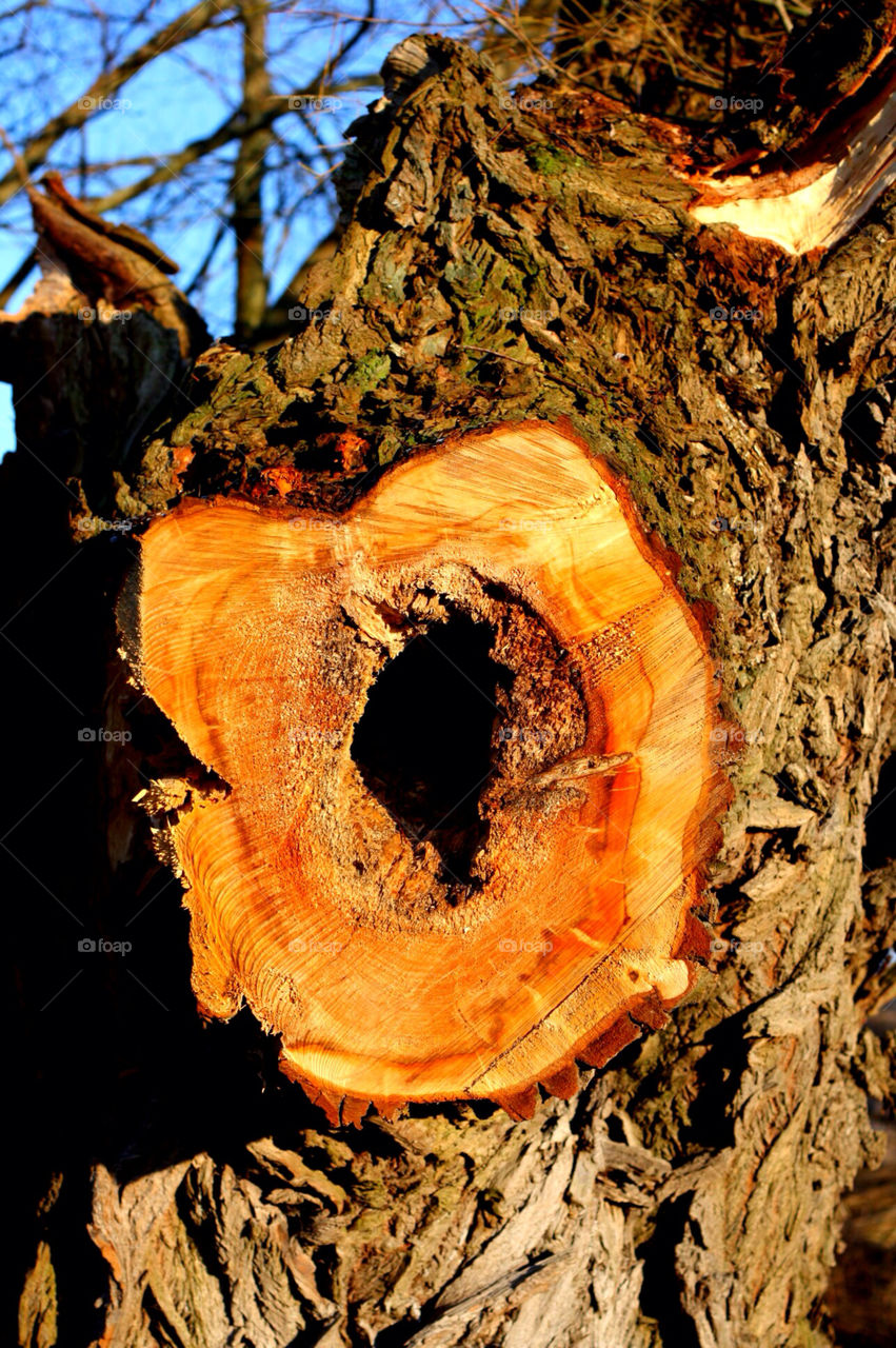 wood natur warm denmark by pellepelle