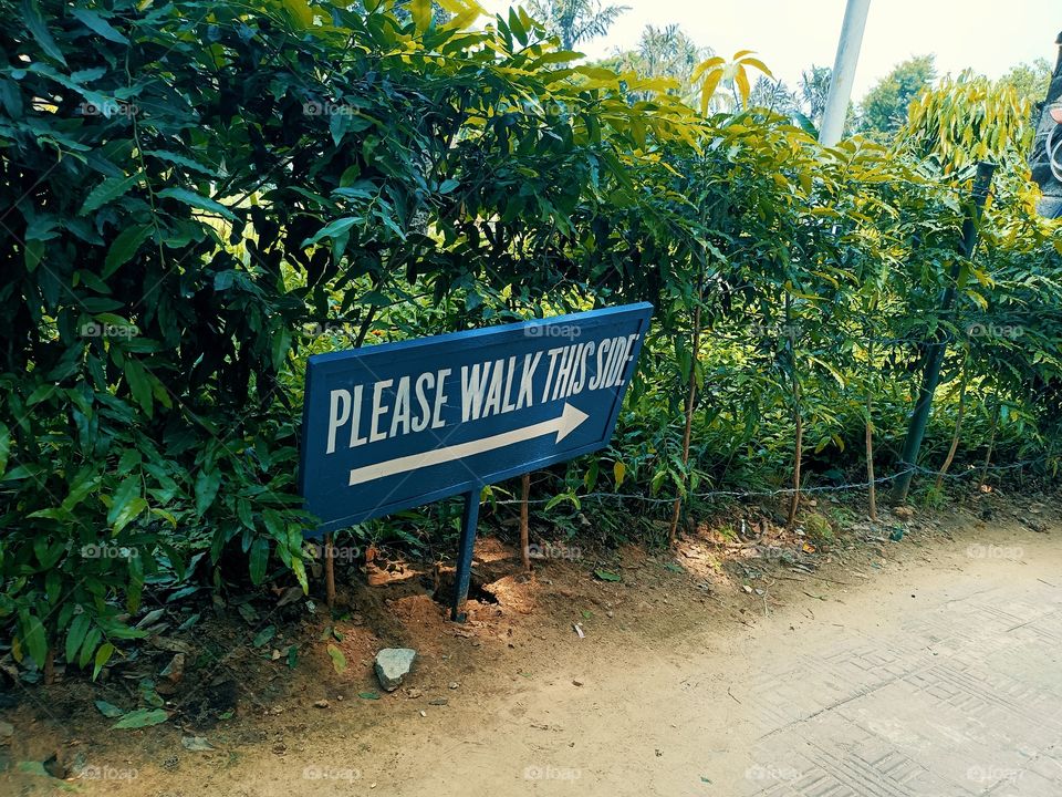 Please walk this way