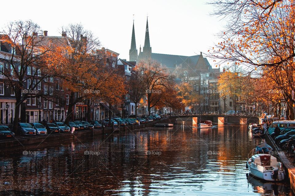 The Canals of Amsterdam in the morning light. Features beautiful Autumn foliage.