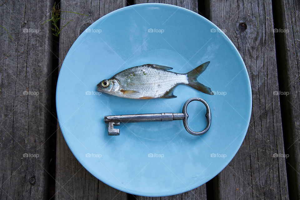 Small silver fish on a blue plate with antique key and wooden grey background. Eating more cyprinid and barb fishes is considered one of the possible solutions for food shortages and climate change. Concept image.
