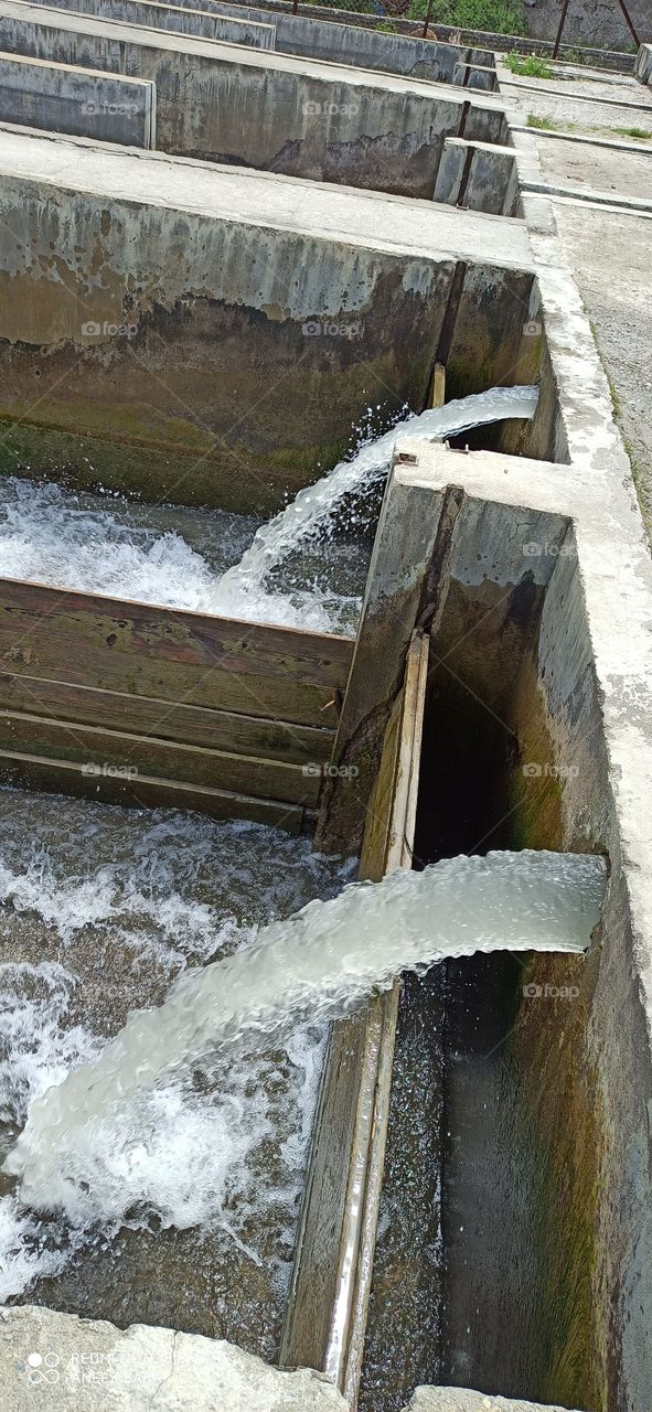 Water feed to Trout Fisheries Unit at Apple town (Kashmir Valley)